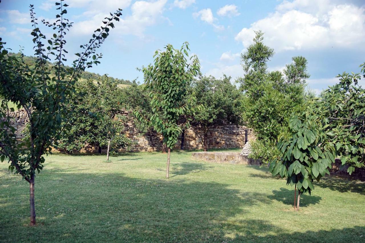 Tourist Farm With Apartments Fig Tree Dekani Exterior foto